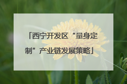 西宁开发区“量身定制”产业链发展策略