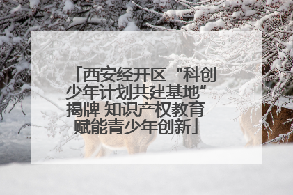 西安经开区“科创少年计划共建基地”揭牌 知识产权教育赋能青少年创新