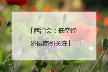 西洽会：低空经济展商引关注