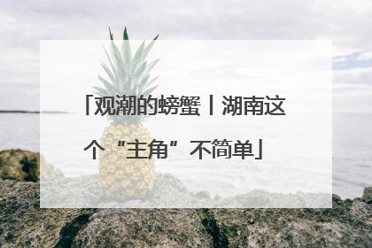 观潮的螃蟹丨湖南这个“主角”不简单