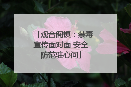 观音阁镇：禁毒宣传面对面 安全防范驻心间