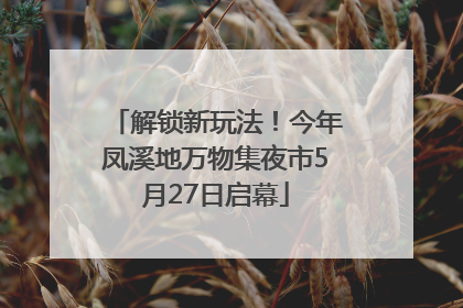 解锁新玩法！今年凤溪地万物集夜市5月27日启幕