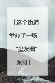 这个街道举办了一场“盆友圈”派对