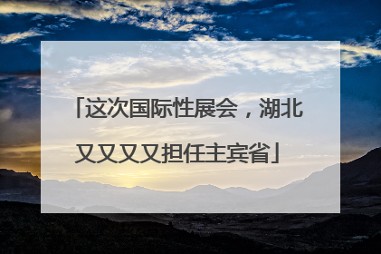 这次国际性展会，湖北又又又又担任主宾省