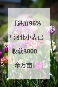 进度96%！河北小麦已收获3000余万亩