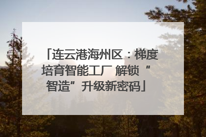 连云港海州区：梯度培育智能工厂 解锁“智造”升级新密码