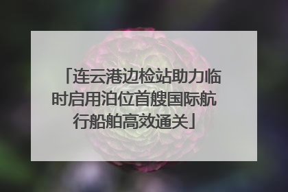 连云港边检站助力临时启用泊位首艘国际航行船舶高效通关