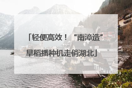 轻便高效！“南漳造”旱稻播种机走俏湖北