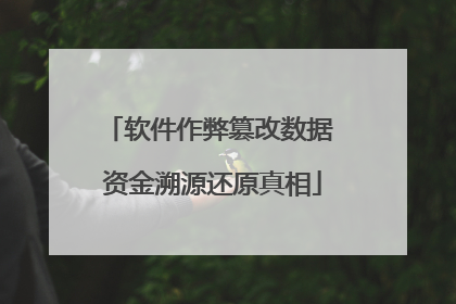 软件作弊篡改数据 资金溯源还原真相