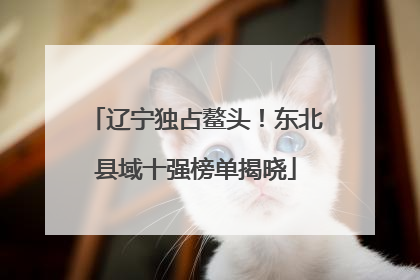 辽宁独占鳌头！东北县域十强榜单揭晓