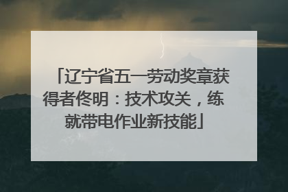 辽宁省五一劳动奖章获得者佟明：技术攻关，练就带电作业新技能