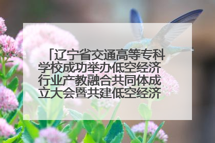 辽宁省交通高等专科学校成功举办低空经济行业产教融合共同体成立大会暨共建低空经济产教融合新生态论坛