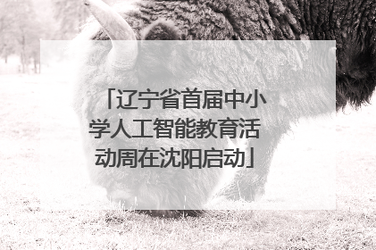 辽宁省首届中小学人工智能教育活动周在沈阳启动
