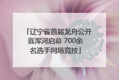 辽宁省首届龙舟公开赛浑河启幕 700余名选手同场竞技