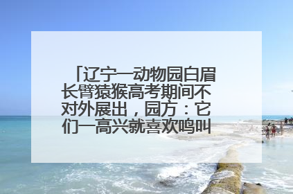 辽宁一动物园白眉长臂猿猴高考期间不对外展出，园方：它们一高兴就喜欢鸣叫，怕影响考试