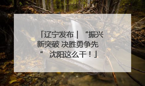 辽宁发布｜“振兴新突破 决胜勇争先” 沈阳这么干！