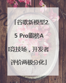 谷歌新模型2.5 Pro霸榜AI竞技场，开发者评价两极分化