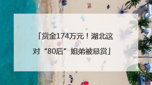 赏金174万元！湖北这对“80后”姐弟被悬赏
