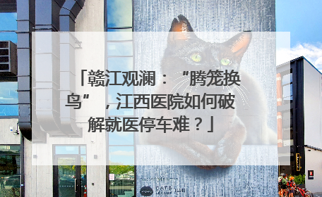 赣江观澜：“腾笼换鸟”，江西医院如何破解就医停车难？