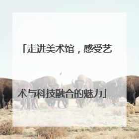 走进美术馆，感受艺术与科技融合的魅力