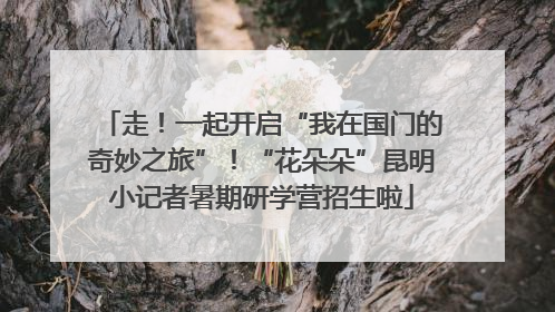 走！一起开启“我在国门的奇妙之旅”！“花朵朵”昆明小记者暑期研学营招生啦