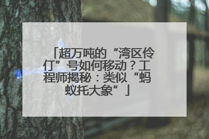 超万吨的“湾区伶仃”号如何移动？工程师揭秘：类似“蚂蚁托大象”