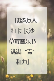 超5万人打卡 长沙草莓音乐节满满“青”和力