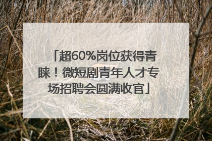 超60%岗位获得青睐！微短剧青年人才专场招聘会圆满收官