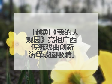 越剧《我的大观园》亮相广西 传统戏曲创新演绎破圈吸睛