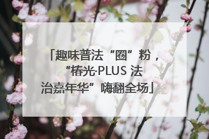 趣味普法“圈”粉，“椿光·PLUS 法治嘉年华”嗨翻全场