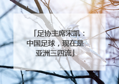 足协主席宋凯：中国足球，现在是亚洲三四流