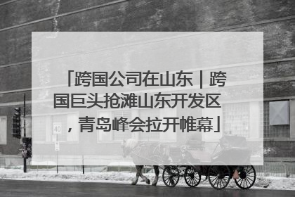 跨国公司在山东｜跨国巨头抢滩山东开发区，青岛峰会拉开帷幕