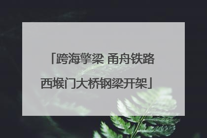 跨海擎梁 甬舟铁路西堠门大桥钢梁开架