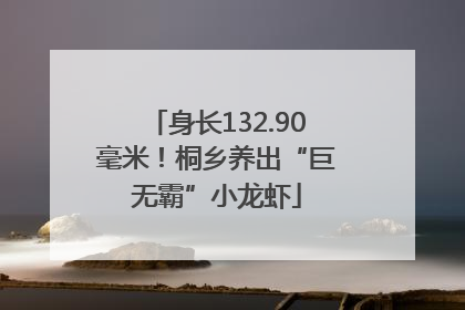 身长132.90毫米！桐乡养出“巨无霸”小龙虾