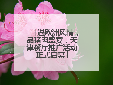 遇欧洲风情，品猪肉盛宴，天津餐厅推广活动正式启幕