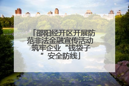 邵阳经开区开展防范非法金融宣传活动 筑牢企业“钱袋子”安全防线