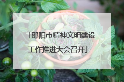 邵阳市精神文明建设工作推进大会召开