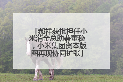 郝祥获批担任小米消金总助兼董秘，小米集团资本版图再现协同扩张