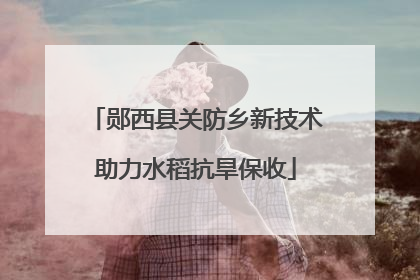 郧西县关防乡新技术助力水稻抗旱保收
