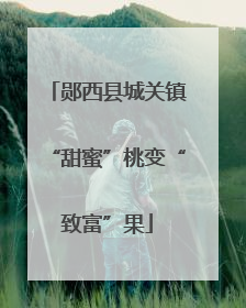 郧西县城关镇“甜蜜”桃变“致富”果