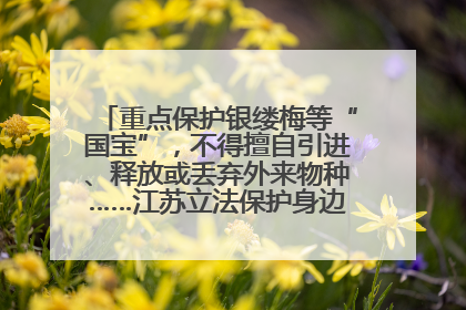 重点保护银缕梅等“国宝”，不得擅自引进、释放或丢弃外来物种……江苏立法保护身边的生物“朋友圈”