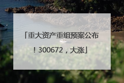 重大资产重组预案公布！300672，大涨