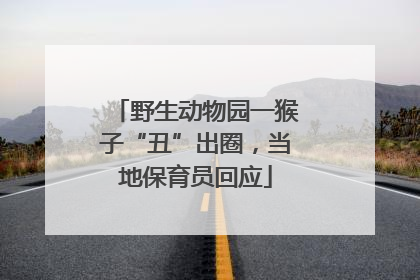 野生动物园一猴子“丑”出圈，当地保育员回应