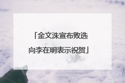 金文洙宣布败选 向李在明表示祝贺