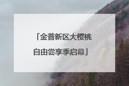 金普新区大樱桃自由尝享季启幕