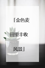 金色麦田里丰收风景