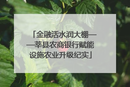 金融活水润大棚——莘县农商银行赋能设施农业升级纪实