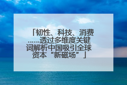 韧性、科技、消费……透过多维度关键词解析中国吸引全球资本“新磁场”