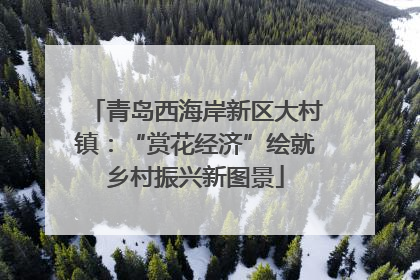 青岛西海岸新区大村镇：“赏花经济”绘就乡村振兴新图景