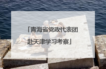 青海省党政代表团赴天津学习考察